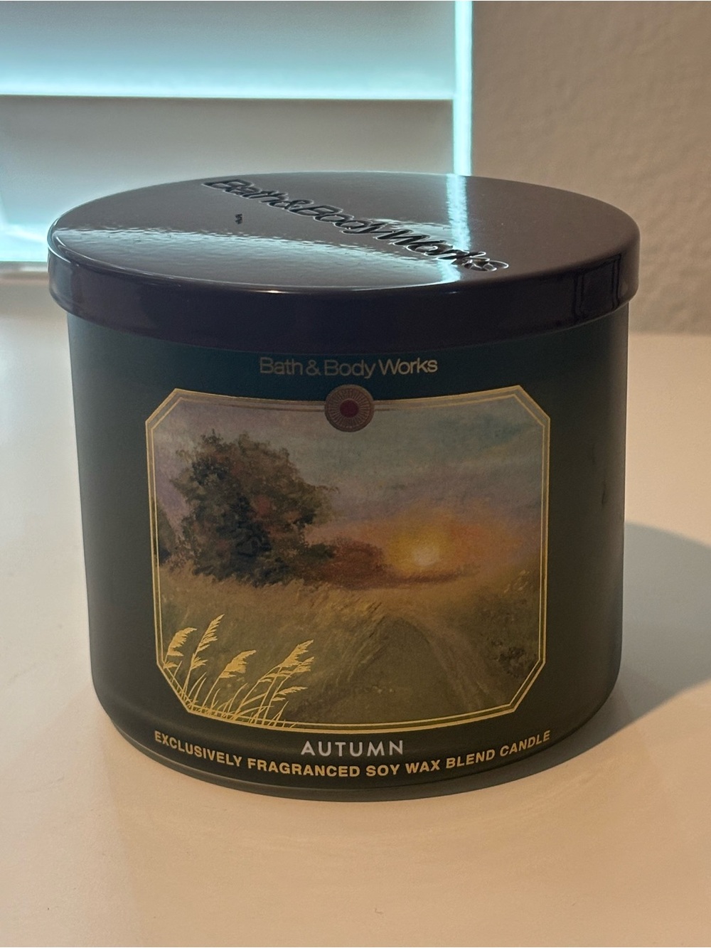 Bath & Body Works Autumn Soy Wax Candle — Dark Green with Gold Accent